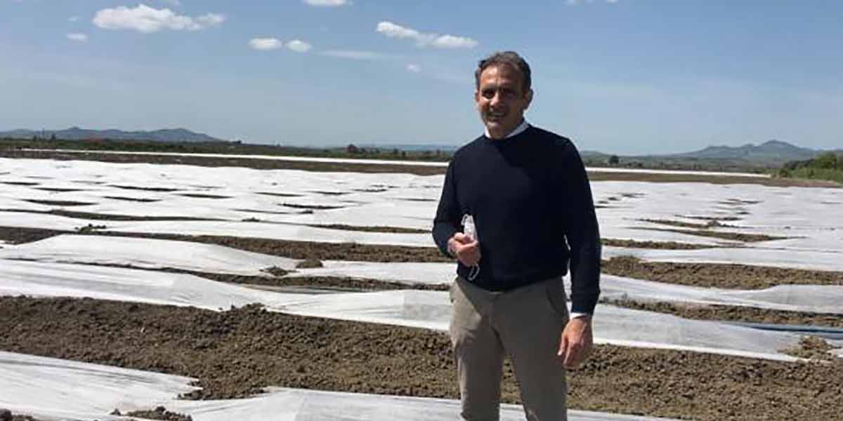 Meloni gialletti: mercato fiacco, si aspetta il campo aperto per il cambio di passo